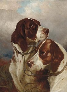 A Brace Of Gundogs