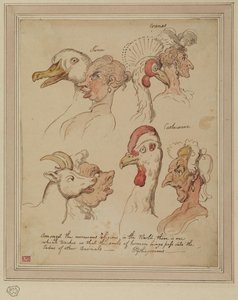 Comparative Studies Of Human And Animal Heads — Thomas Rowlandson