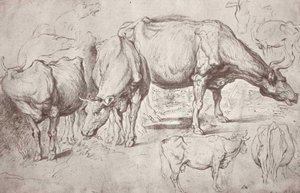 Cows — Peter Paul Rubens, Baroque