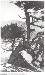 Crimea. Old Juniper — Ivan Yakovlevich Bilibin
