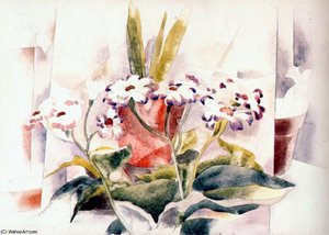 Cineraria — Charles Demuth