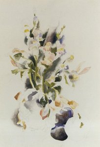 Floral Still Life — Charles Demuth