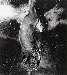 Beer Bottle After The Atomic Bomb Explosion — Shomei Tomatsu