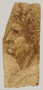 Perfil De Hombre — Leonardo Da Vinci, Renaissance Classicism