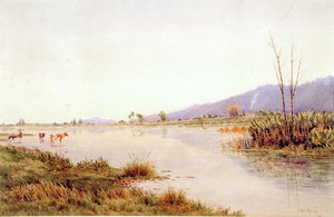 River Scene, Otaki — Francis James Barraud