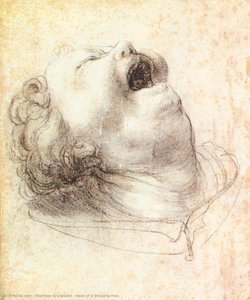 Head Of A Shouting Man — Matthias Grünewald