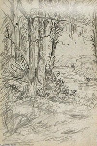 Woods — John Ottis Adams