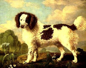 Brown And White Norfolk Or Water Spaniel — George Stubbs, Romanticism