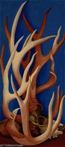 Deer Horns — Georgia O'keeffe