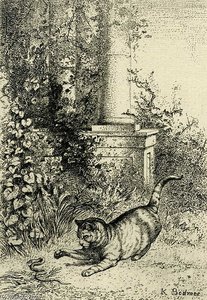 Cat Playing With An Adder — Karl Bodmer