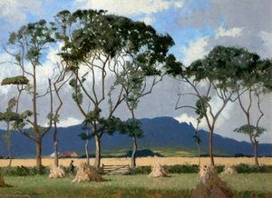 Harvest Fields, Sperrins