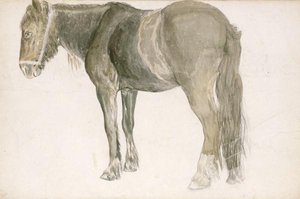 A Farm Horse — John Frederick Lewis