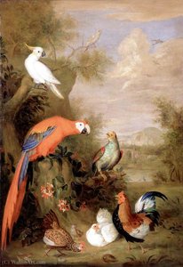 Various Types of Birds (with a Parrot)