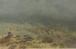 Going away in the mist
