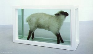 Flock — Damien Hirst