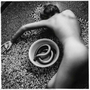 Eel Series, Roma, May 1977 August 1978 — Francesca Woodman