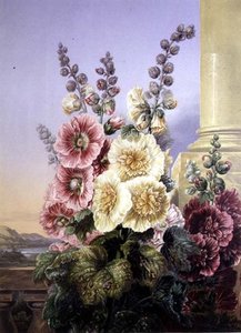Hollyhocks — George Baxter