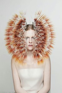 Untitled — Maiko Takeda