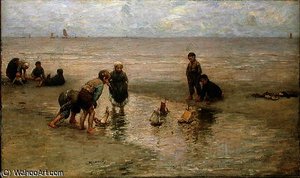 The regatta