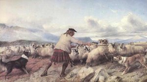 Turning The Drove — Richard Ansdell