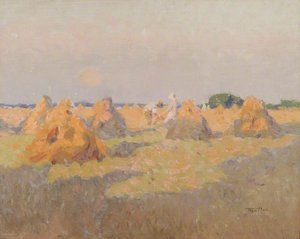Cornfield