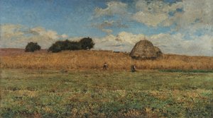 A wheat field - Seara (the outskirts of Paris)