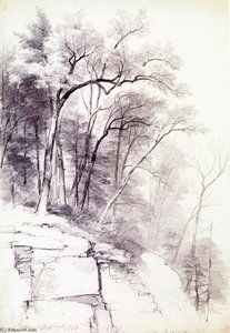 Study Of Trees And Rocks, Kaaterskill Clove, New York — Asher Brown Durand