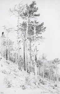 At The Top Of The Ai-petri — Ivan Ivanovich Shishkin