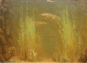 Pike Swimming — Gerrit Willem Dijsselhof