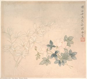 Flower Study — Yun Bing