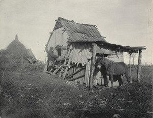 Barn On A One Mule Farm — Frances Benjamin Johnston