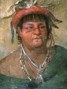 Aúh Ka Nah Paw Wáh, Earth Standing, An Old And Valiant Warrior — George Catlin