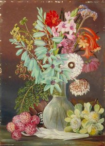 Green Flowered Ixia And Other Cape Singularities — Marianne North