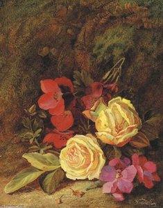 Primroses And Roses
