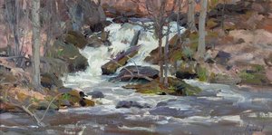 Millpond Falls — Richard Schmid