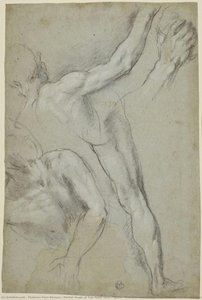 Estudio Parcial De Dos Figuras Masculinas Desnudas, Una Con El Brazo Levantado, La Otra En El Suelo Y Estudios De Pierna Y Brazo De La Primera (para El “martirio De San Vital”, Milán, Pinacoteca Di Brera) — Federico Fiori Barocci, Barroco Temprano