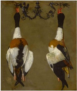 Still Life Of Two Shelducks Hanging From Their Bills — Цезарь Дандини