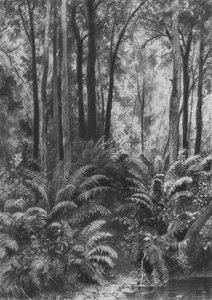 Ferns In The Forest — Ivan Ivanovich Shishkin