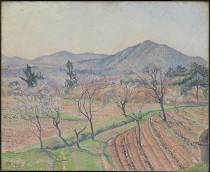 Almond Trees, Le Lavandou — Lucien Pissarro