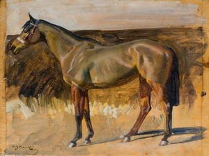 Study Of A Hunter Mare — Sir Alfred James Munnings, Impressionism