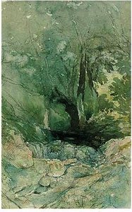 A Woodland Stream