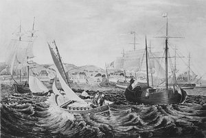 Quarantine, Staten Island 1