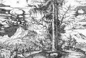 Landscape — Albrecht Altdorfer, Mannerist