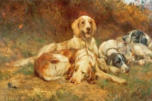 Waiting For The Guns — Thomas Blinks