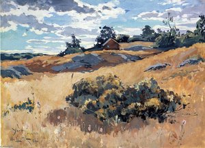 York, Maine — Willard Leroy Metcalf