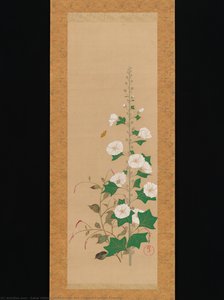 Hollyhocks And Prince’s-feather Flowers — Sakai Hōitsu, Rinpa