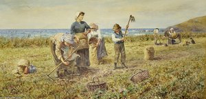 The Potato Harvest — Thomas James Lloyd
