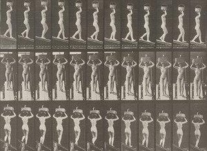 Woman Descending An Incline With A 20 Lb. Basket On Head, Hands Raised Plate 124 From Animal Locomotion (1887) — Eadweard J Muybridge