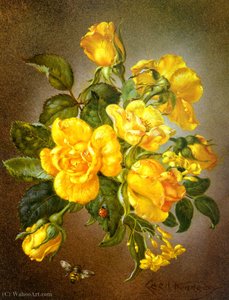 Summer — Cecil Kennedy