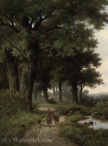 A walk in the forest
